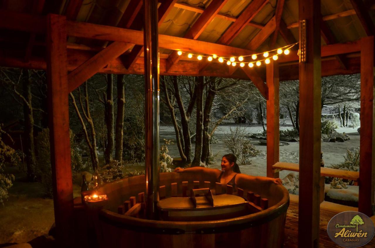 Chalet Aliwén Malalcahuello