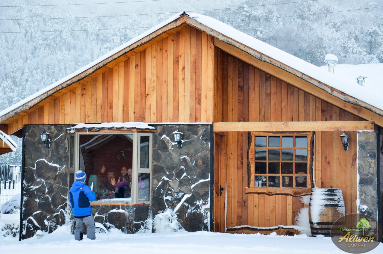 Aliwén Chalet Malalcahuello
