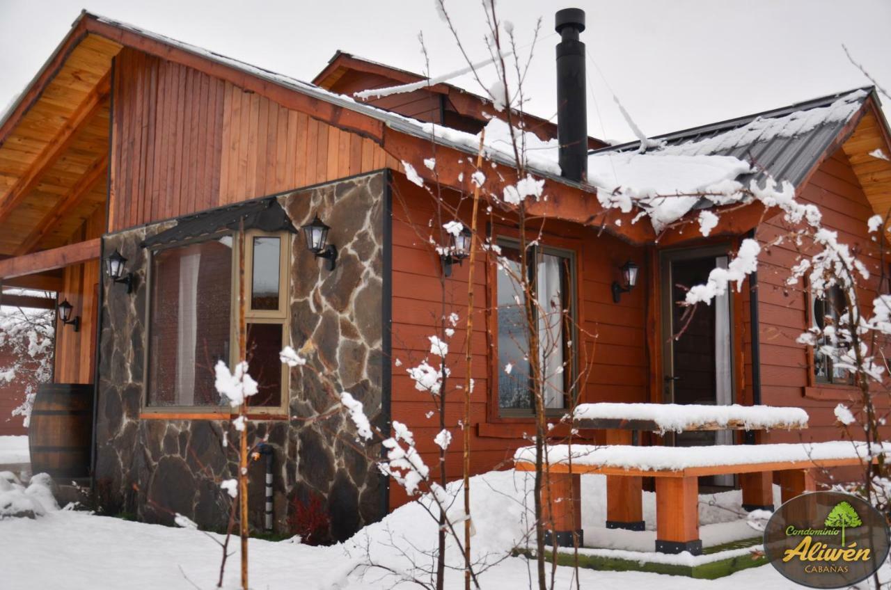 Aliwén Chalet Malalcahuello