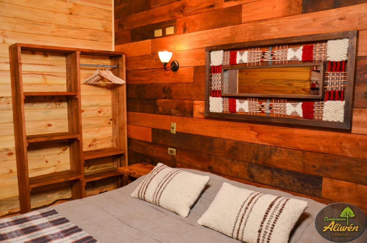 Aliwén Chalet Malalcahuello