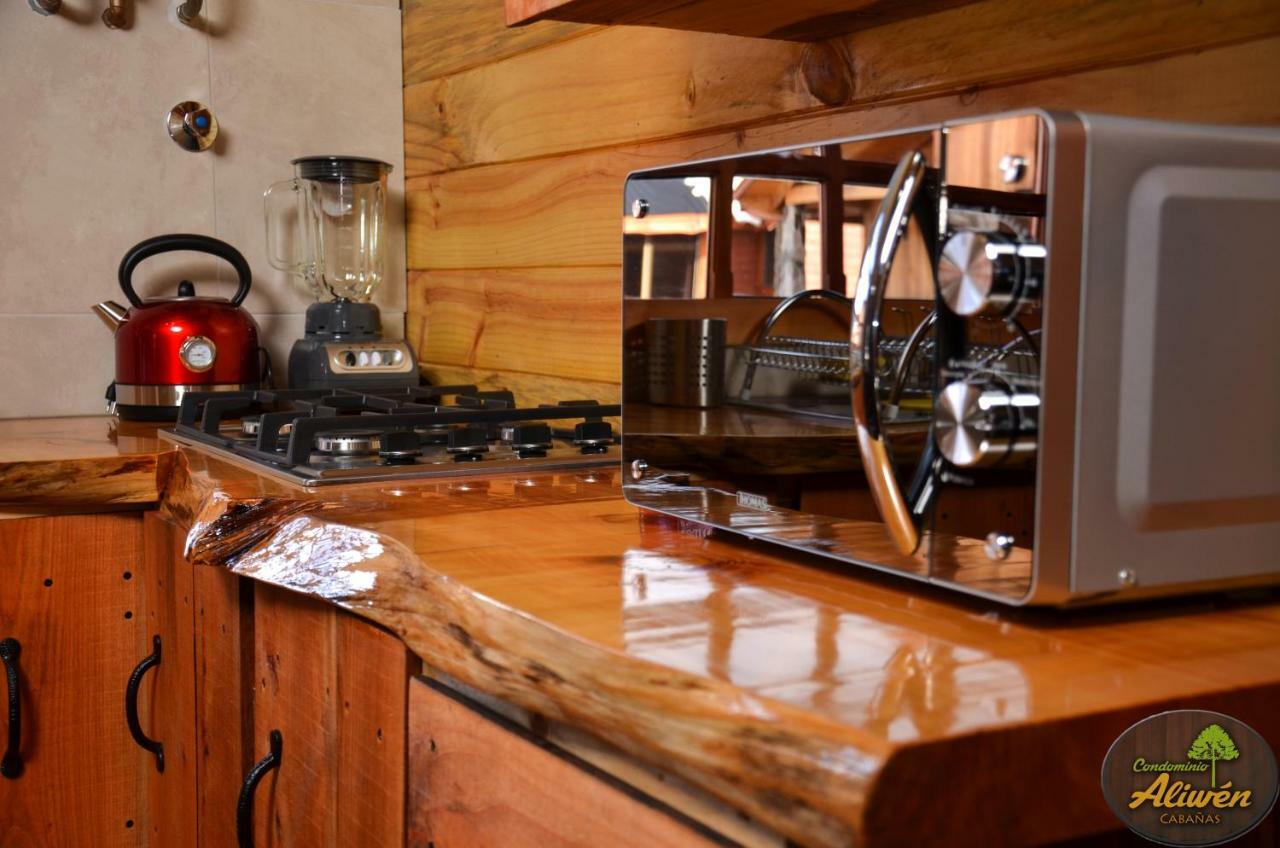 Aliwén Chalet Malalcahuello